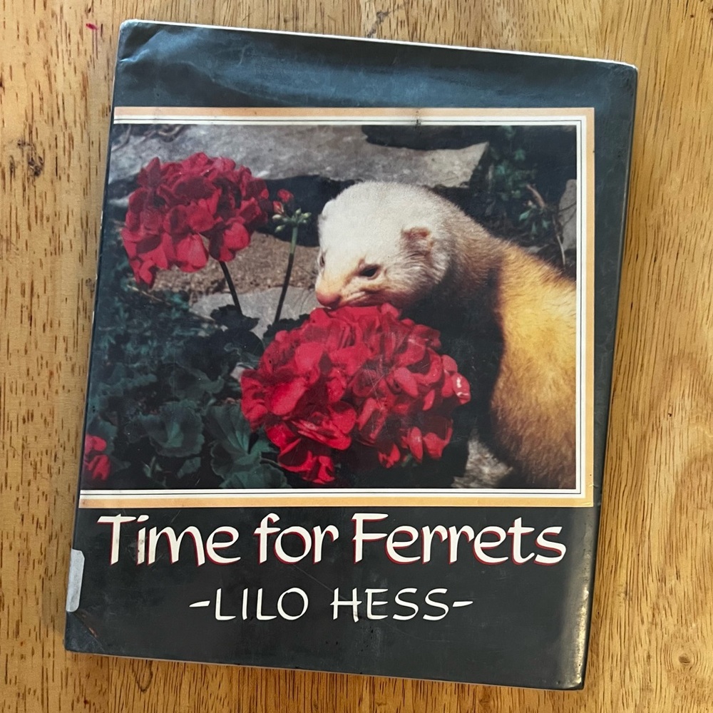 3 for $15: Time For Ferrets by Lilo Hess Hardcover